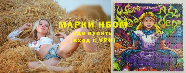круглые Бородино