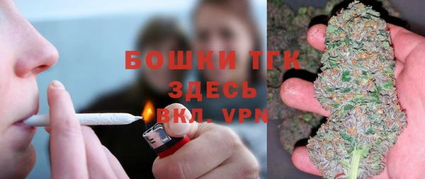 индика Волоколамск