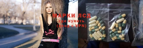 индика Волоколамск