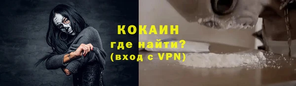 индика Волоколамск