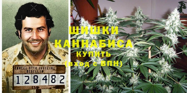 индика Волоколамск
